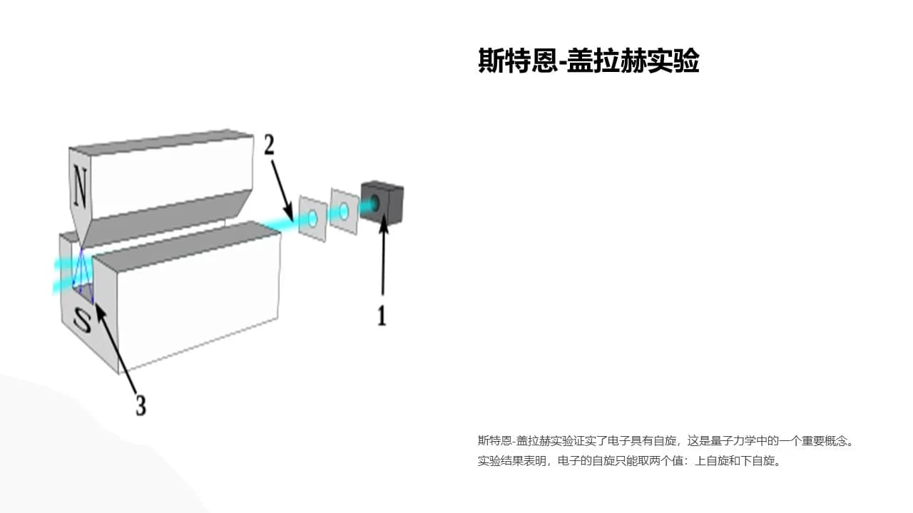 Case 8